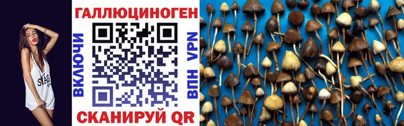 Псилоцибиновые грибы мухоморы  Черноголовка 